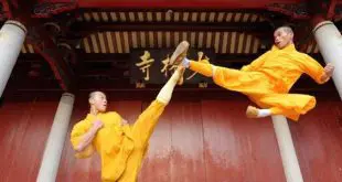 Kungfu-Wushu-Lyon-Croix-Rousse-Lyon4-Lyon8-Shaolin-La-Une